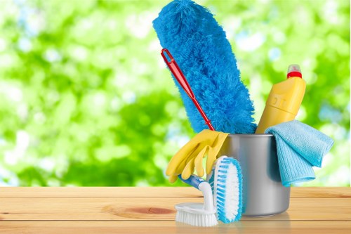 Home carpet treatment for pet stain odour removal