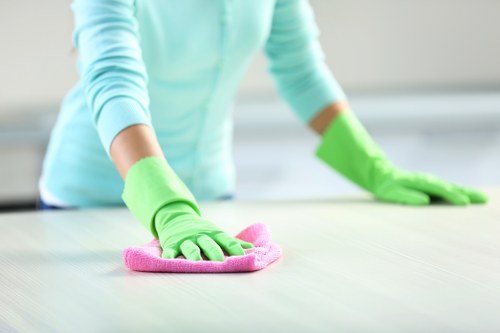 Freshly cleaned carpet with improved texture and appearance