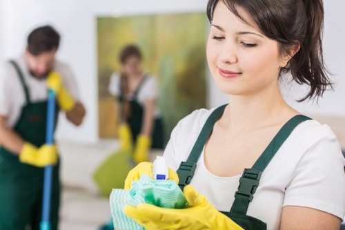 Cleaning products used for pet stain odour removal on upholstery