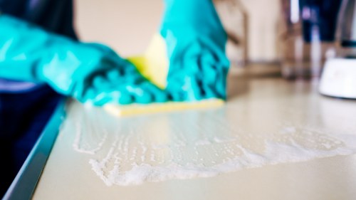 Enzymatic cleaner application for pet stain odour removal
