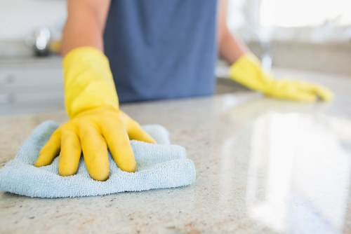 Blotting a fresh pet accident on carpet for odour removal