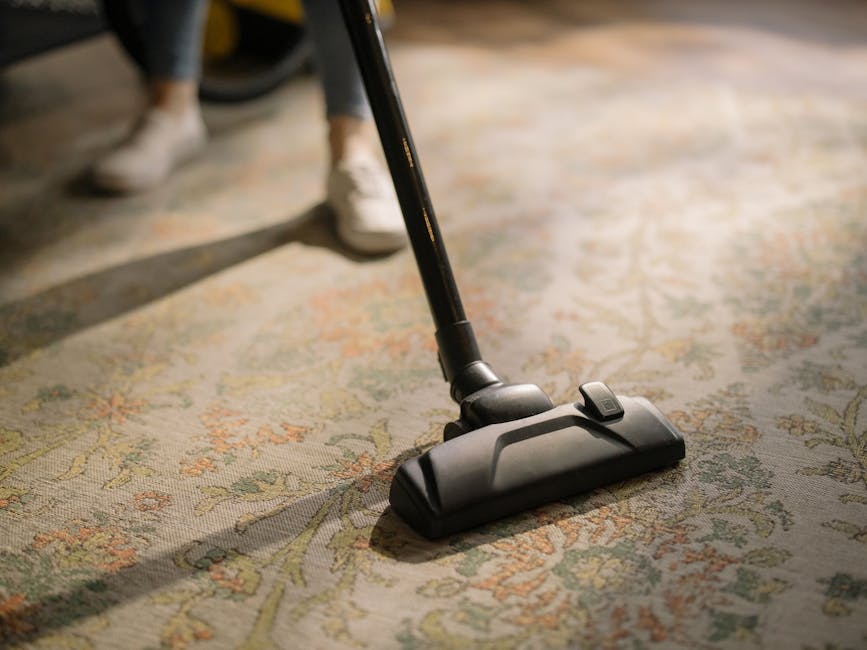Close-up image of a vacuum cleaner with a transparent dust bin, filled with debris and dust, positioned on a pink carpeted floor in a room with white walls and a wooden skirting board. The vacuum's fl